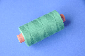 Rasant Thread Colour # 0247 1000m Spool