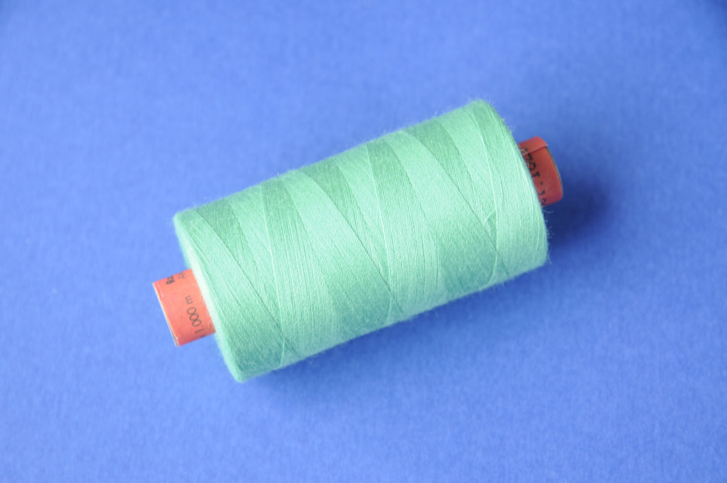 Rasant Thread Colour # 1620 1000m Spool